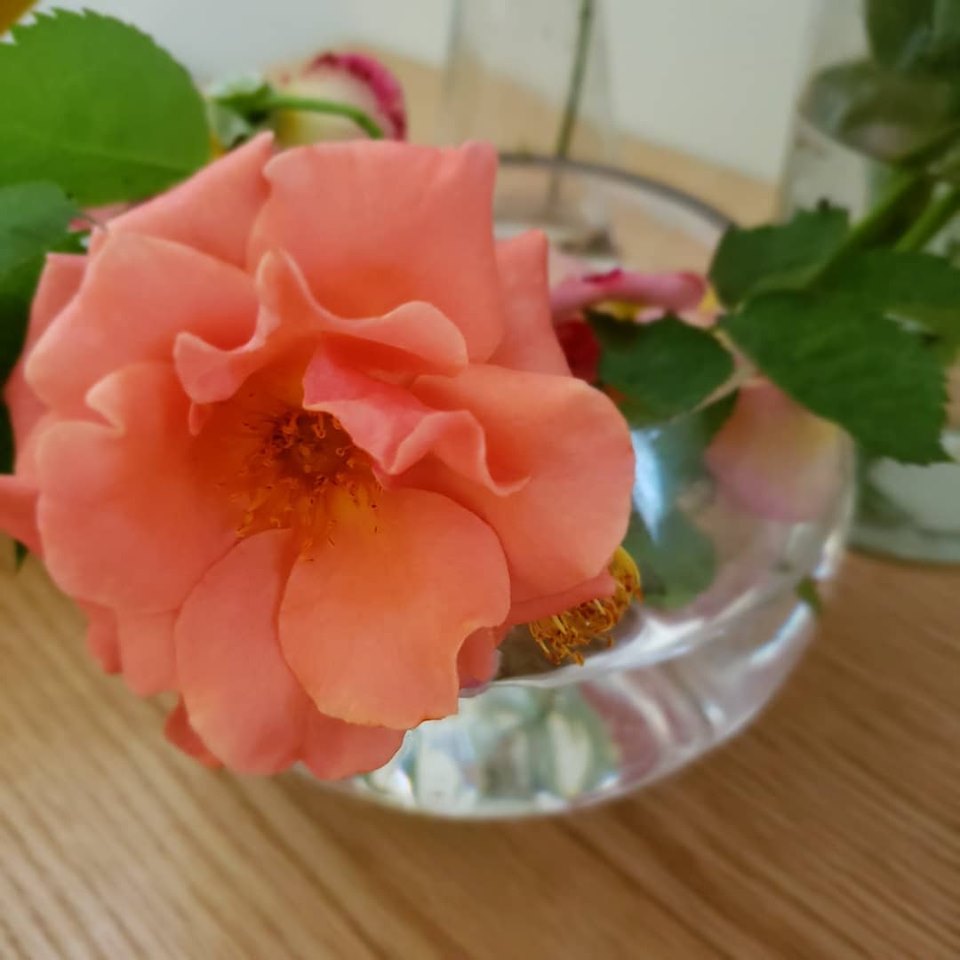 それが、自分にとってどれだけリアルなのか それが、自分にとってどれだけリアルなのか